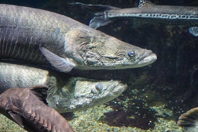 賢者の盲点を突く「ストーリー戦略」 - Takekida's log